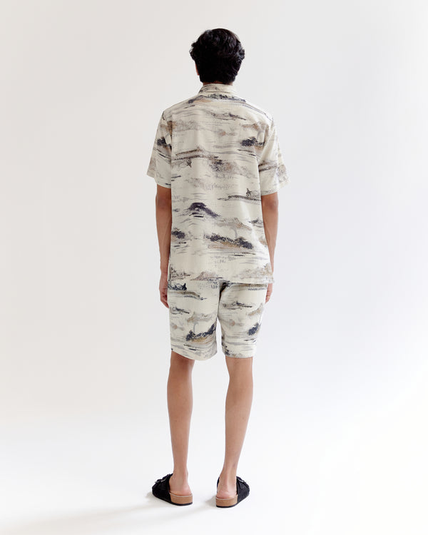 Arid Brush stroke Shirt